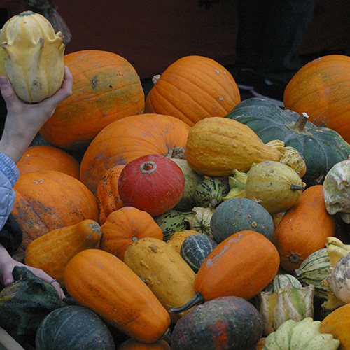 Bild zu Wochenmarkt in Gonsenheim